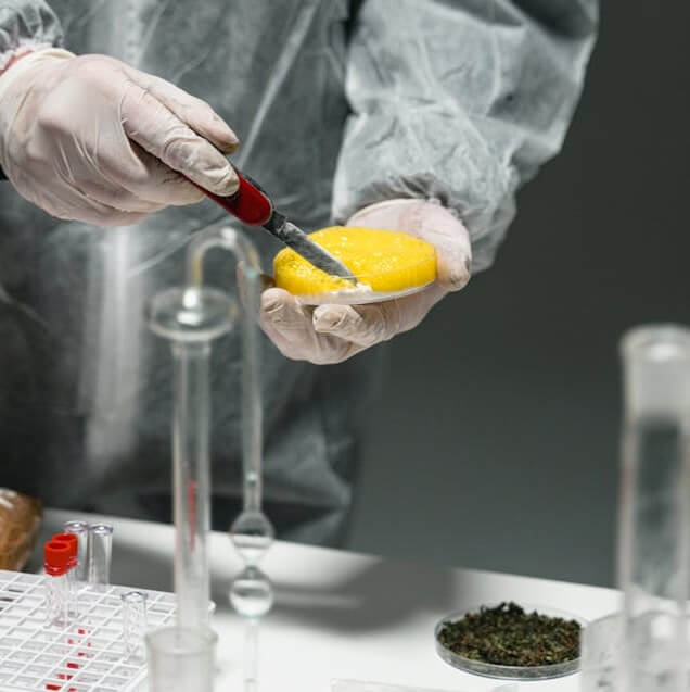 cannabis drug test